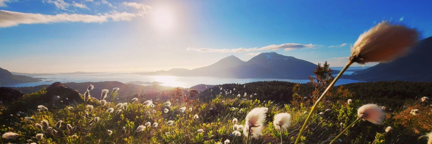 Heim kommune Helse og mestring